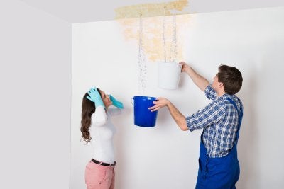 Leaking ceiling repair & mold prevention